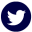 twitter-white-navy-button